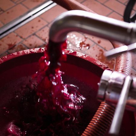 I Dolci Grappoli Villa Larino Bagian luar foto