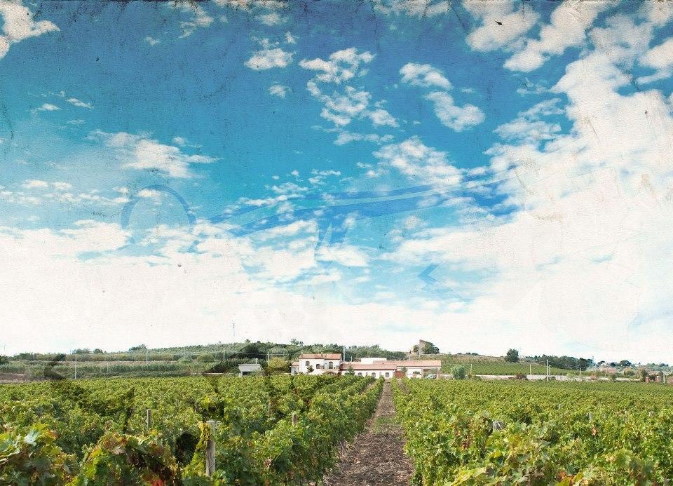 I Dolci Grappoli Villa Larino Bagian luar foto